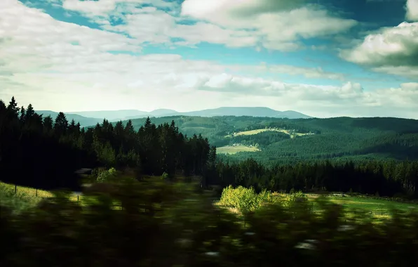 Picture forest, the sky, clouds, trees, landscape, hills, landscapes, heaven