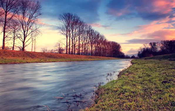 Grass, water, trees, nature, river, photo, landscapes, view