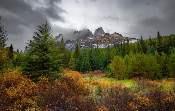 Autumn, forest, clouds, trees, mountains, rocks, Banff National Park, Alberta