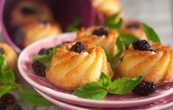 Mint, cupcakes, mulberry