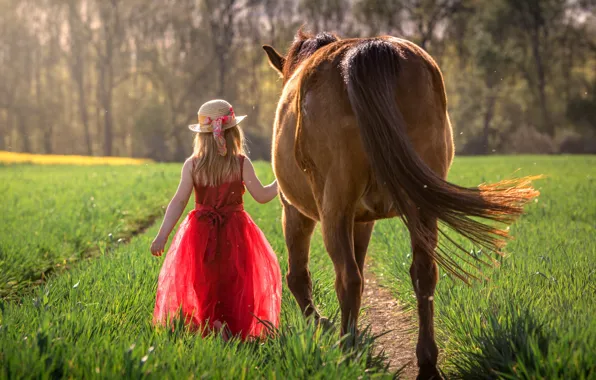 Wallpaper each, beauty, a couple, glade, tail, mood, greens, field