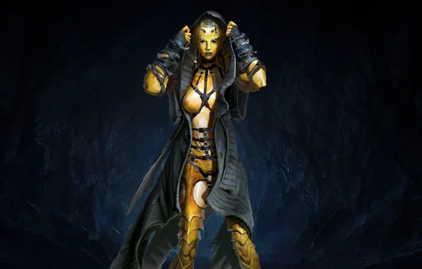 The game, Forest, Fighter, Mortal Kombat, Character, D Thief, Chitin, Swarm Queen