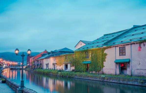Picture the sky, landscape, mountains, lights, home, the evening, Japan, lights
