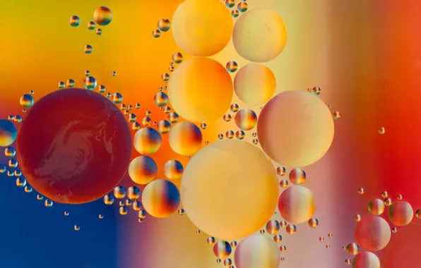 Picture bubbles, oil, liquid