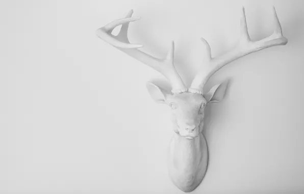 Picture deer, horns, decoration