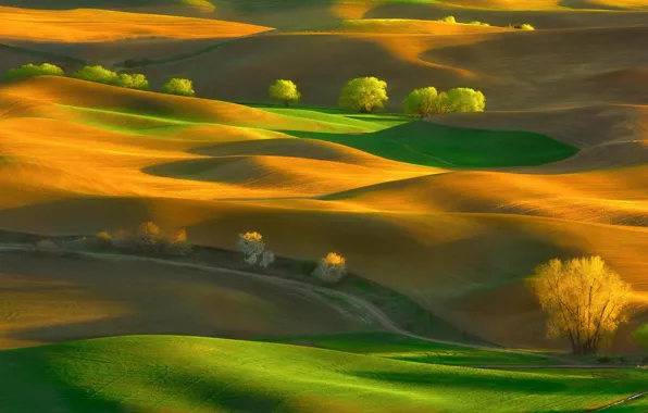 Picture green, field, orange, shadow, relief, light, lighting, road
