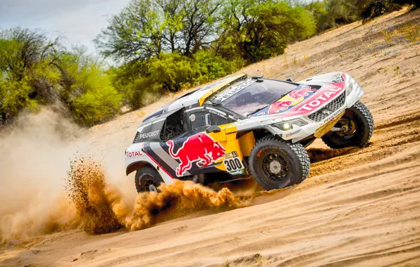 Sand, Sport, Speed, Race, Peugeot, Lights, Red Bull, Rally