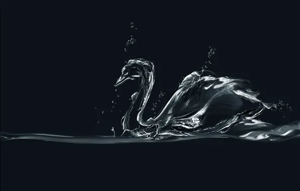 Picture water, bubbles, minimalism, Swan, bubbles, swan, minimalism, water