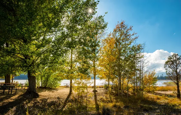 Picture autumn, trees, landscape, lake, Park, table, bench