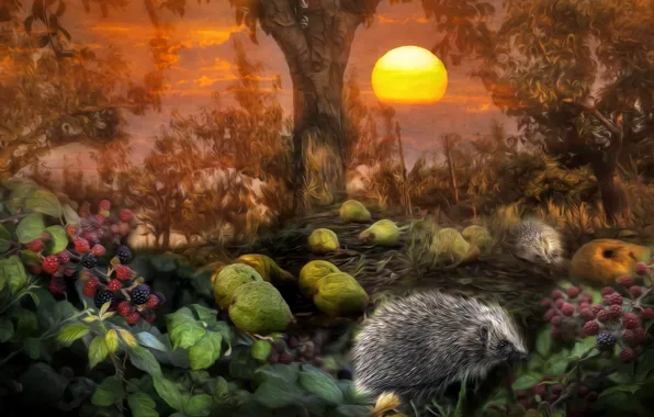 Forest, leaves, the sun, trees, hedgehog, pear, BlackBerry