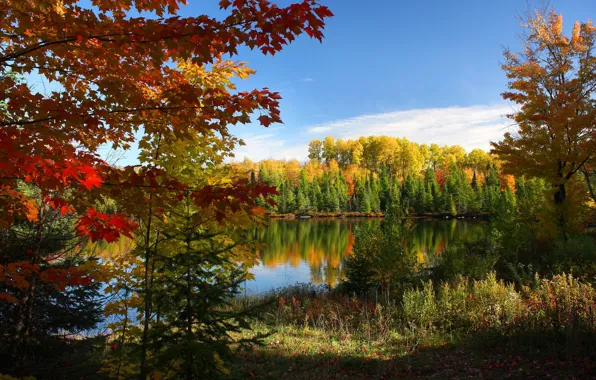 Picture autumn, forest, the sky, lake, photo