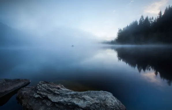 Picture forest, fog, lake, fisherman, morning