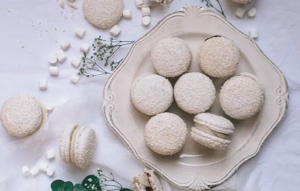 Cookies, Cakes, Pasta, The sweetness