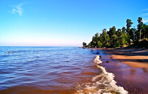 Picture sand, wave, beach, the sky, water, trees, lake