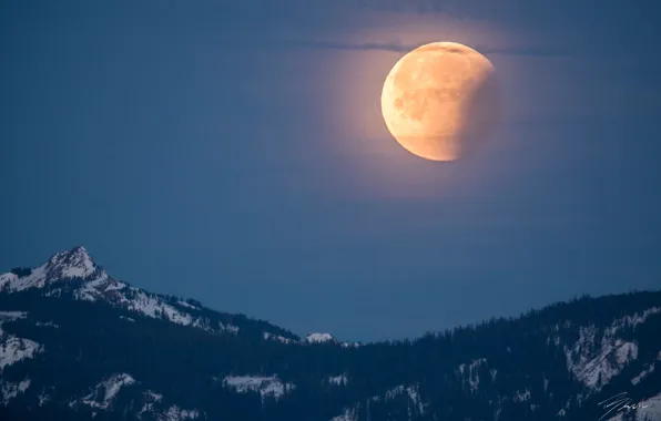 Winter, the sky, snow, trees, mountains, night, nature, the moon