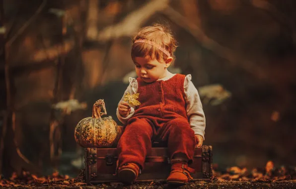 Picture autumn, nature, sheet, girl, pumpkin, suitcase, jumpsuit, baby