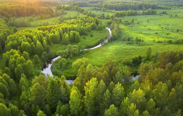 Picture summer, trees, landscape, nature, river, forest, meadows, Vladimir Ryabkov