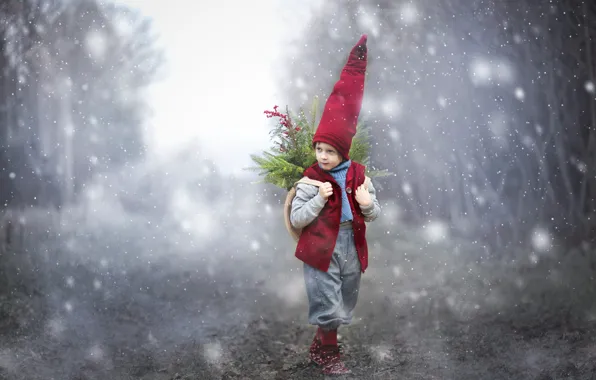 Winter, forest, look, snow, trees, branches, red, fog