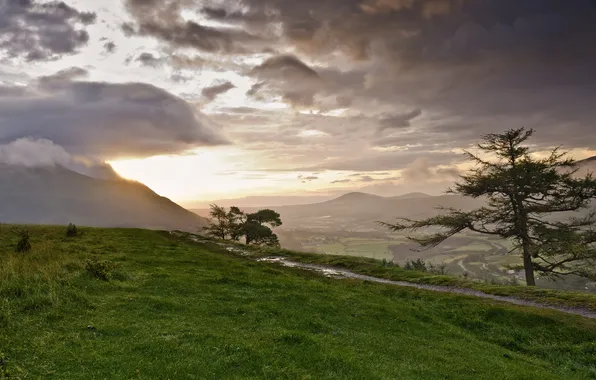 Trees, sunset, mountains