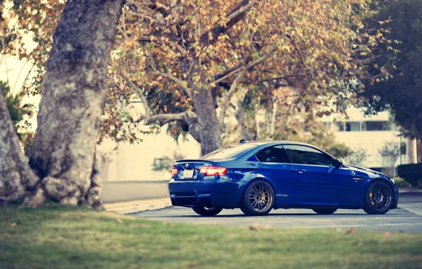 Picture trees, blue, BMW, coupe, BMW, Coupe, blue, E92