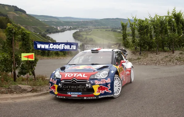 Road, Machine, Citroen, River, Red Bull, DS3, Rally, The front