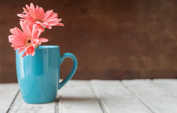 Flowers, mug, wood, pink, flowers, chrysanthemum, mug