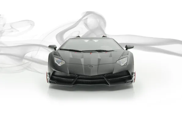 Roadster, Lamborghini, supercar, front view, Aventador, Mansory, 2019, Carbonado Evo