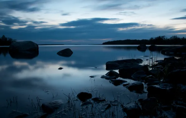 Picture forest, stones, Bay, twilight