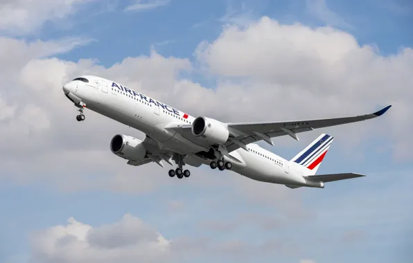 Picture Landing, Airbus, Air France, Wing, Airbus A350-900, Chassis, A passenger plane, Airbus A350 XWB
