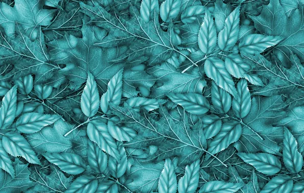 Picture leaves, background, blue, background