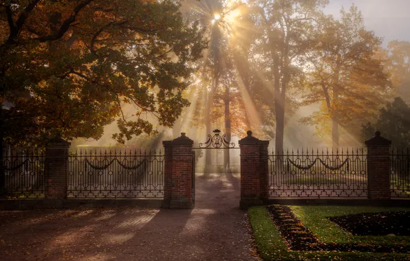 Autumn, rays, light, trees, Park, Gordeev Edward, Saint Petersburg