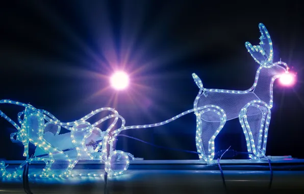 Winter, rays, light, lights, the dark background, holiday, wire, deer