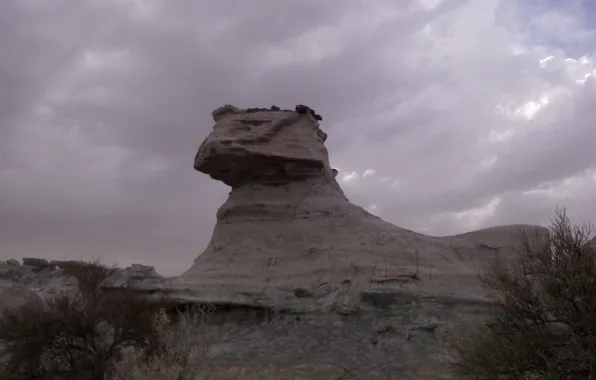 The sky, clouds, rock, stones, Argentina, Argentina, shrubs, Valle de la Luna