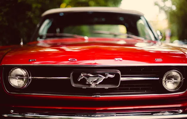 Red, Mustang, Mustang, red, ford, Ford, the front, classic