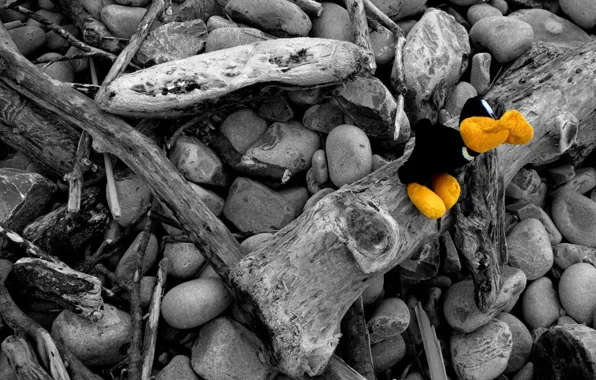 Branches, toy, color, black and white, Stones