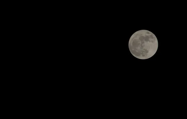 Moon, night, full moon, supermoon