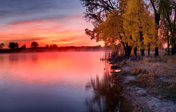 Wallpaper morning, reflection, branch, fog, trees, shore, the evening, lake