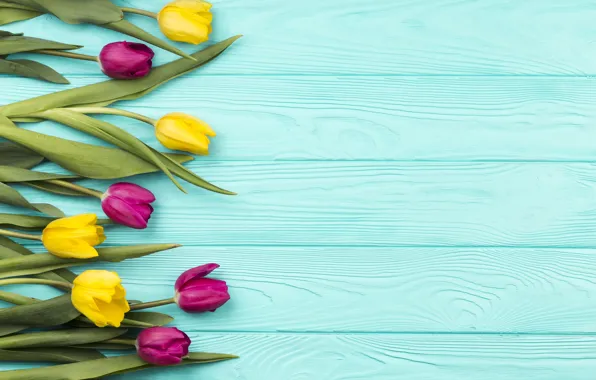 Flowers, bouquet, colorful, tulips, yellow, wood, flowers, blue background