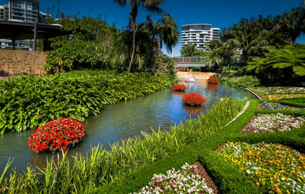 Grass, trees, flowers, design, pond, Park, palm trees, Australia