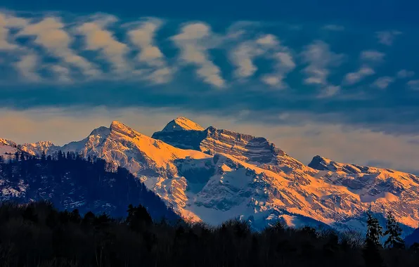 Picture the sky, clouds, snow, trees, sunset, mountains