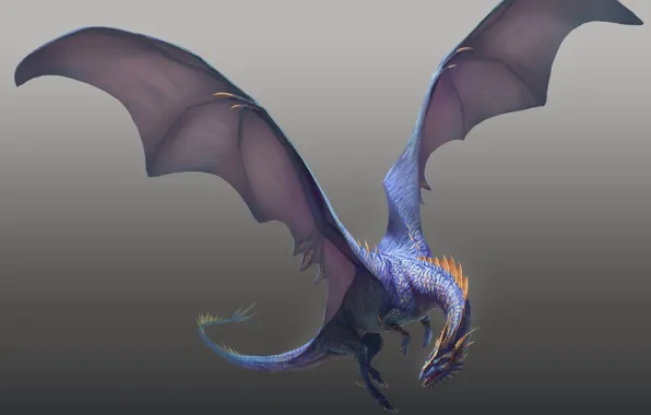 Blue, dragon, wings, claws, flight, grey background
