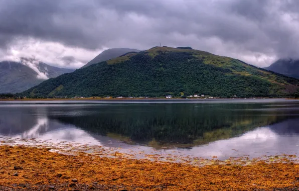 Picture forest, clouds, trees, mountains, lake, stones, shore, Scotland