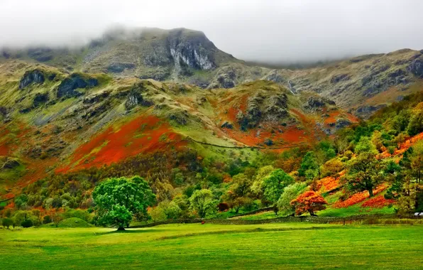Picture autumn, the sky, grass, clouds, trees, mountains