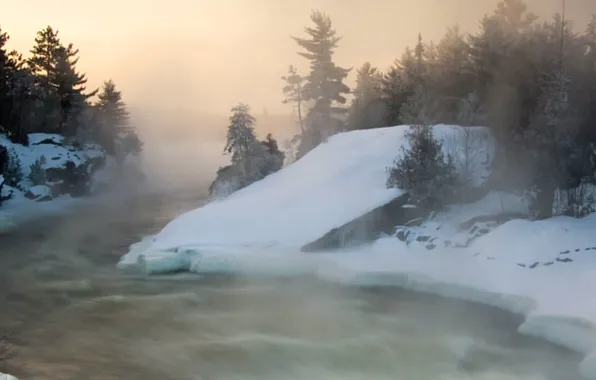 Winter, snow, trees, fog, river, Canada, Ontario, Wanup