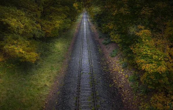 Picture autumn, nature, railroad