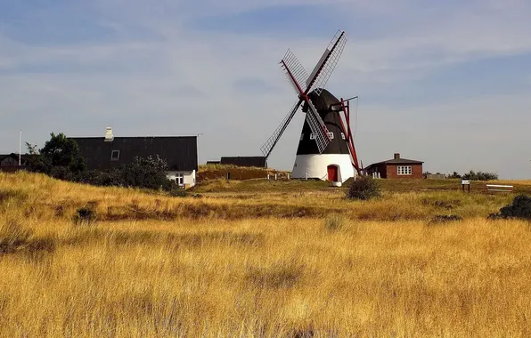 Field, house, mill