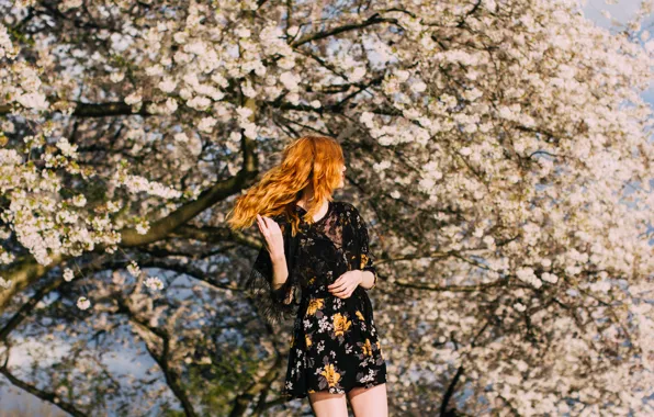 Girl, pose, dress, red