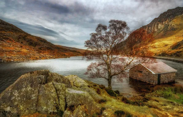 Mountains, lake, house, tree, Wales