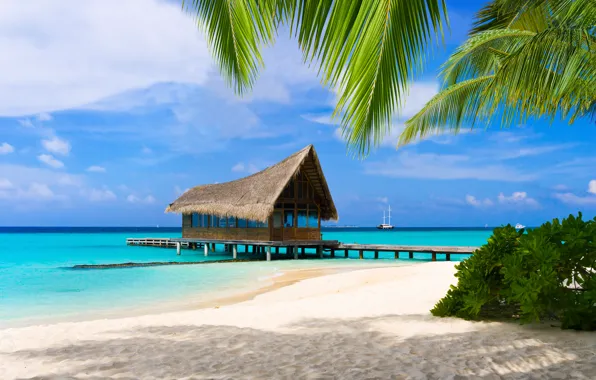 Sand, beach, palm trees, the ocean, the Maldives