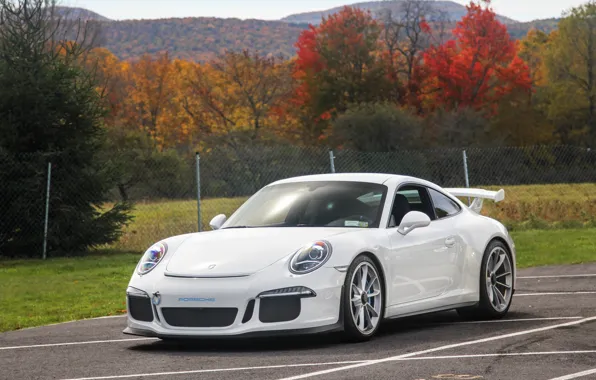 Picture 911, Porsche, GT3, White